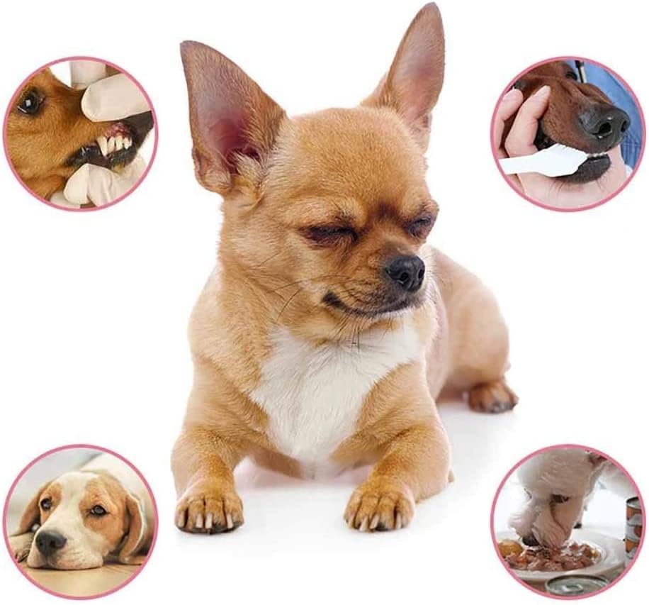 Petry Oral Spray for Dogs - Petry Teeth Cleaning Spray for Dogs and Cats, Pet Breath Freshener Spray Care Cleaner, Oral Spray for Pets, Dog Dental Spray Reduces Plaque & Tartar Buildup (2pcs)