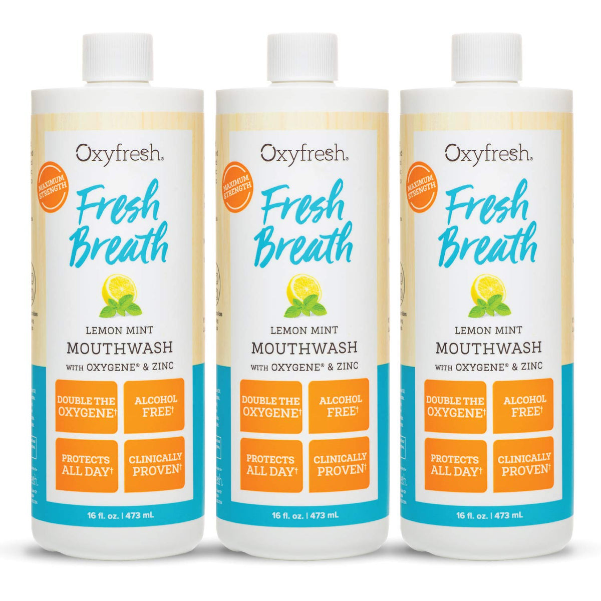Oxyfresh Lemon Mint Fresh Breath Mouthwash – Bad Breath Treatment – SLS & Fluoride Free – Alcohol Free, Gentle Nonburning with Xylitol & Essential Oils – 16 Fl Oz