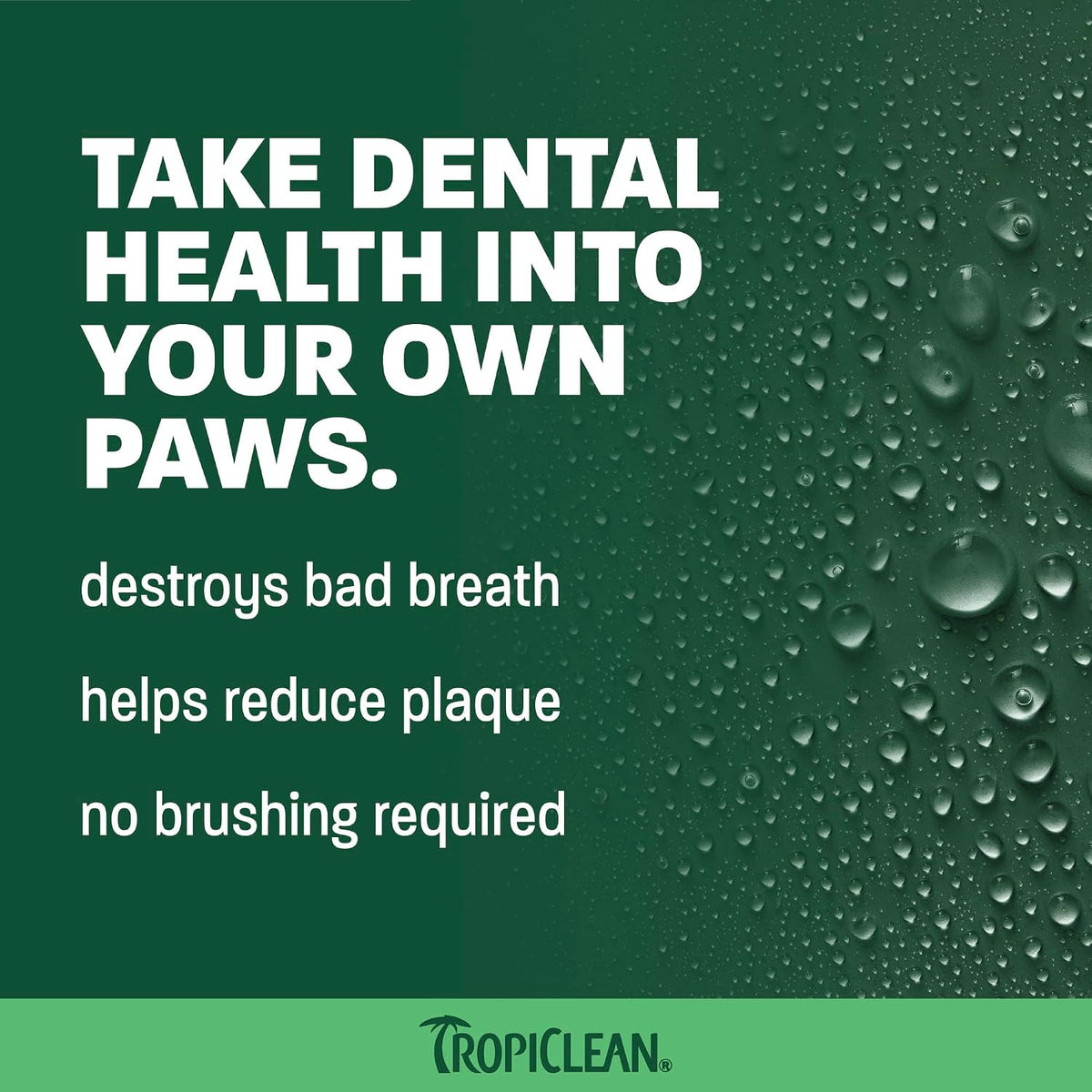 TropiClean Fresh Breath Oral Care Spray for Dogs & Cats | Dog Breath Spray | Mint Breath Freshener | Pet Bad Breath Treatment | Made in The USA | 4 oz