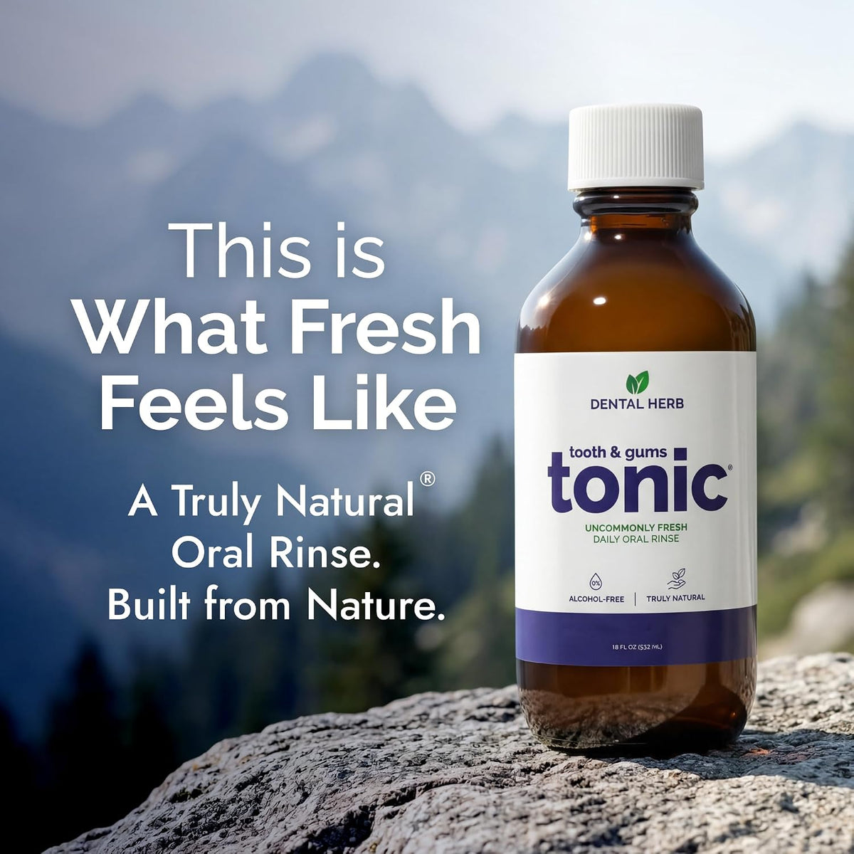 Tooth & Gums Tonic Herbal Mouthwash Oral Rinse 18fl oz, Dental Herb Company