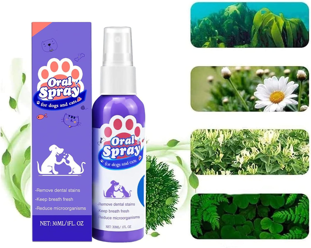 Petry Oral Spray for Dogs - Petry Teeth Cleaning Spray for Dogs and Cats, Pet Breath Freshener Spray Care Cleaner, Oral Spray for Pets, Dog Dental Spray Reduces Plaque & Tartar Buildup (2pcs)