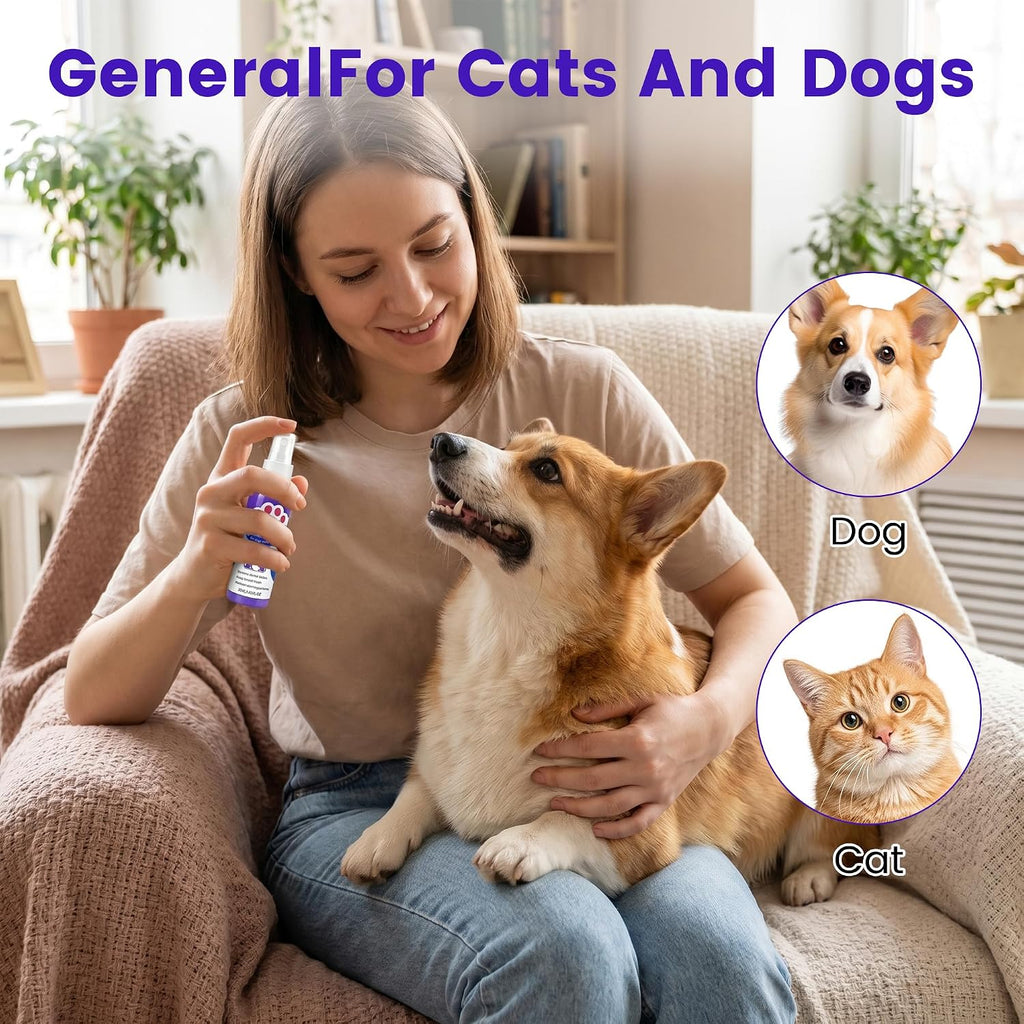 Jiexily Pet Oral Tartar Remover Spray, 2026 New Oral Teeth Cleaning Spray for Dogs and Cats, Pet Dental Tartar Remover Breath Freshener Health Supplies (1 pcs)