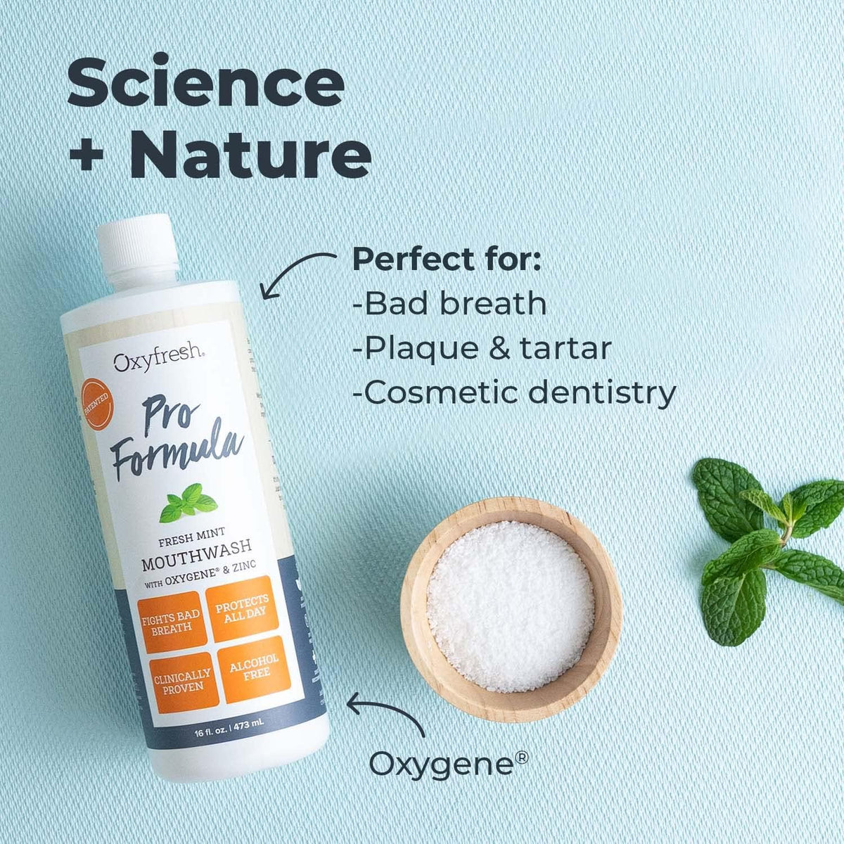 Oxyfresh Pro Formula Fresh Mint Mouthwash – Patented Zinc Mouthrinse for Fresh Breath, Healthy Gums & Bad Breath Treatment for Adults - Dye, Fluoride & Alcohol Free (16 Fl Oz)