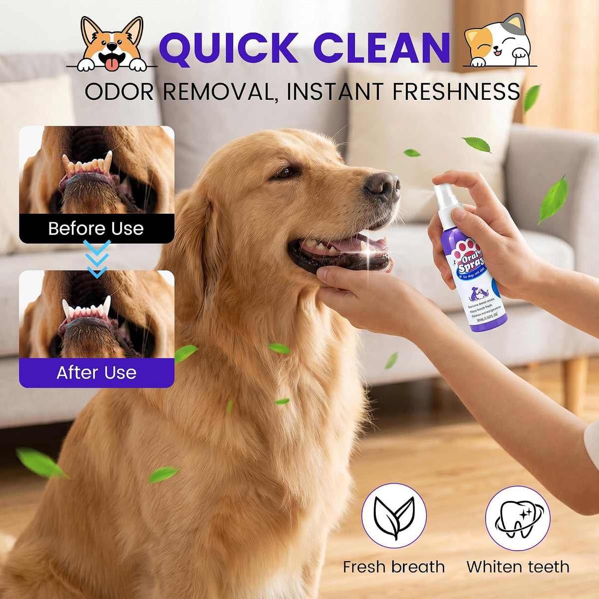 Jiexily Pet Oral Tartar Remover Spray, 2026 New Oral Teeth Cleaning Spray for Dogs and Cats, Pet Dental Tartar Remover Breath Freshener Health Supplies (1 pcs)