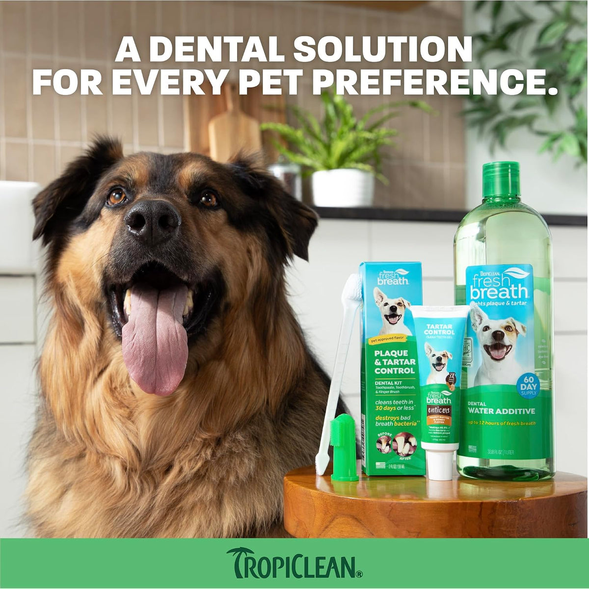 TropiClean Fresh Breath Oral Care Spray for Dogs & Cats | Dog Breath Spray | Mint Breath Freshener | Pet Bad Breath Treatment | Made in The USA | 4 oz